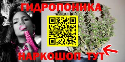 таблы Бердск